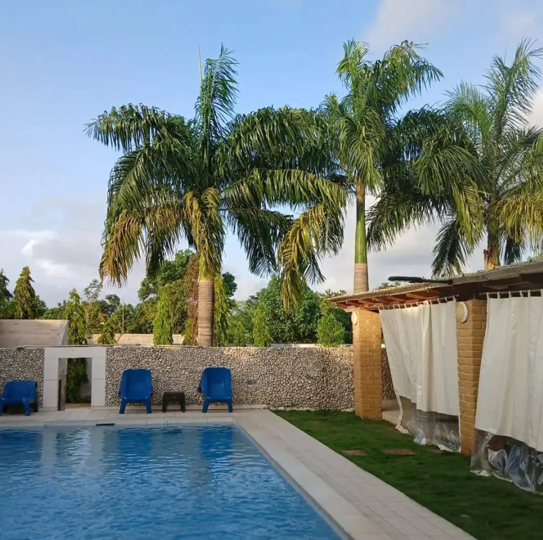 Piscine et palmiers de l'Hôtel Naell à Assinie